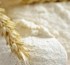 Inédito: el trigo vale más que la soja en la Argentina
