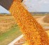 La Mesa de Enlace analiza medidas de fuerza ante el cierre de exportaciones de maíz